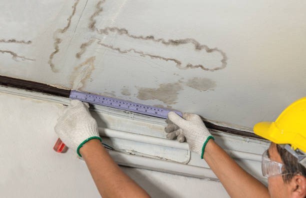 Reliable Structural Drying contractor in Campbell, OH by Water Damage Irwin